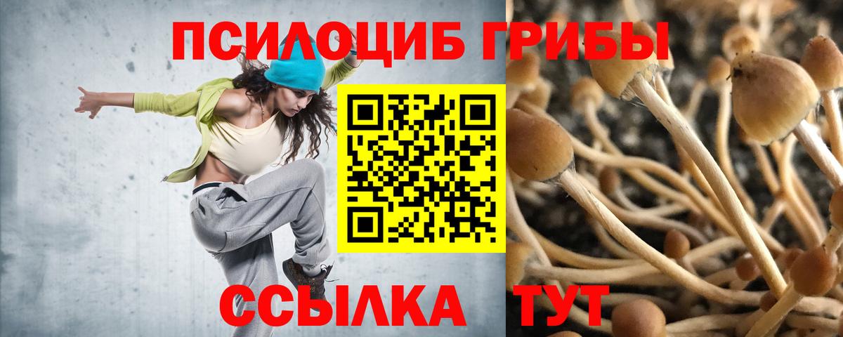 Мариинск  Псилоцибиновые грибы Cubensis  Вход с VPN  Псилоцибиновые грибы Psilocybine cubensis 